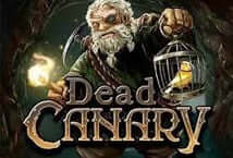 JACKPOT BERMAIN Dead Canary